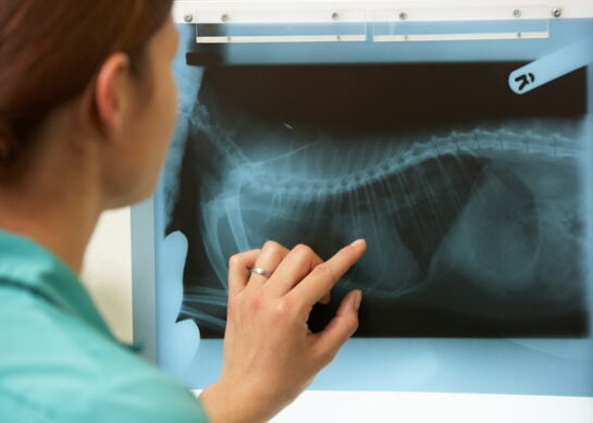 Rizici radiološke dijagnostike